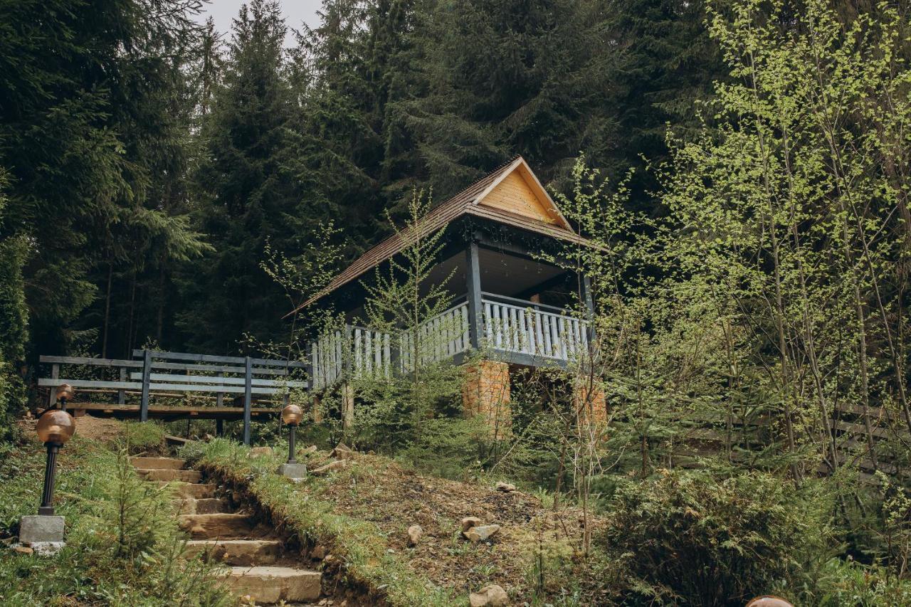 Hotel Vedmezhyi Dvir 부코벨 외부 사진