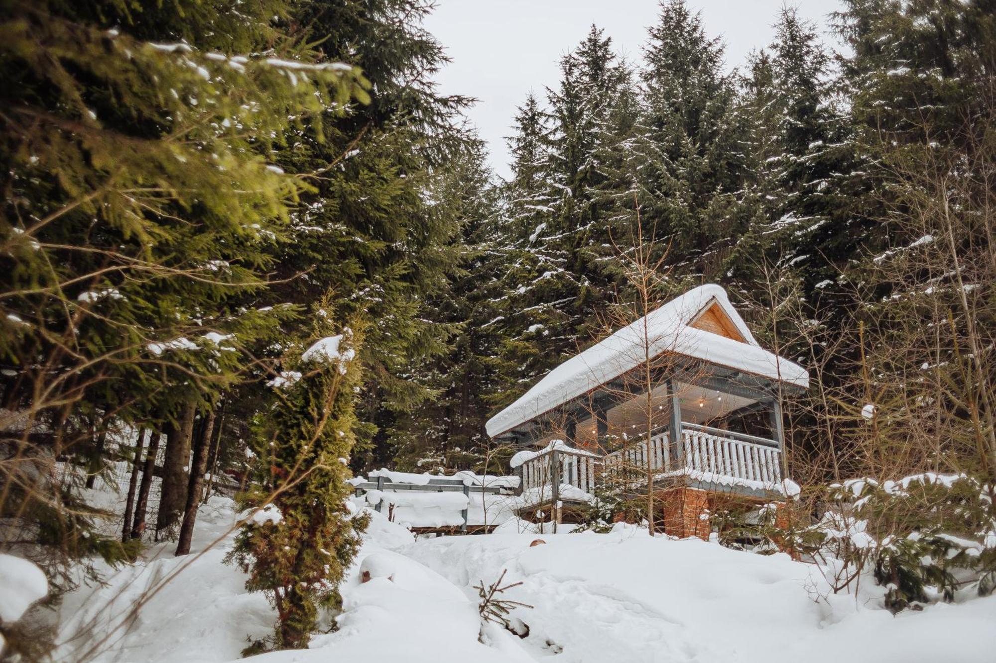 Hotel Vedmezhyi Dvir 부코벨 외부 사진